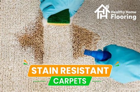 carpet stain resistant pets